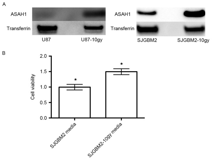 Figure 5.