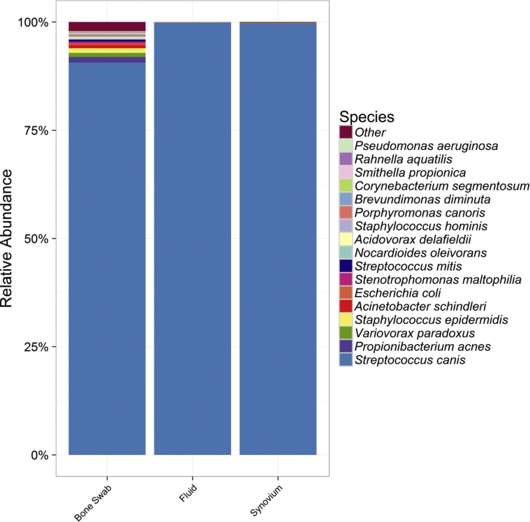 Figure 2