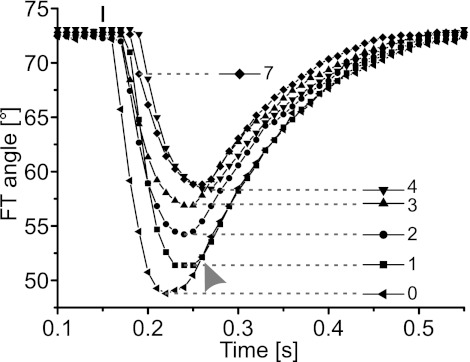 Fig. 7.