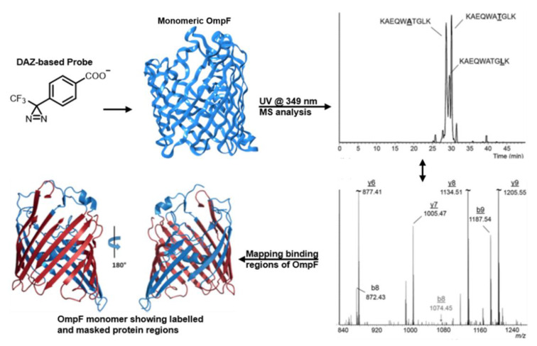 Figure 17