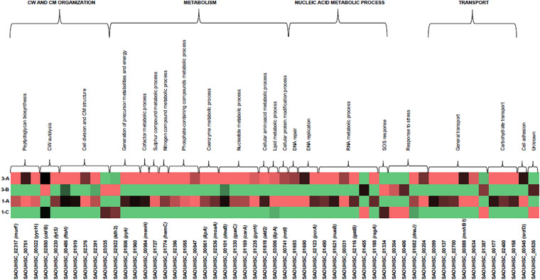 FIGURE 3