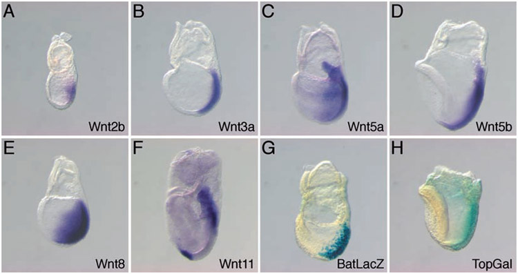 Fig. 23.2.