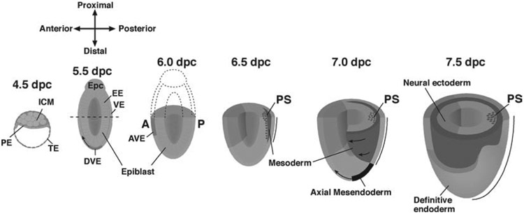 Fig. 23.1.