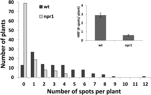 Figure 5.