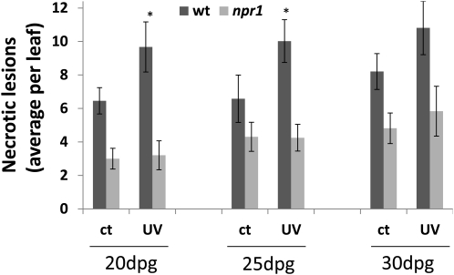 Figure 7.