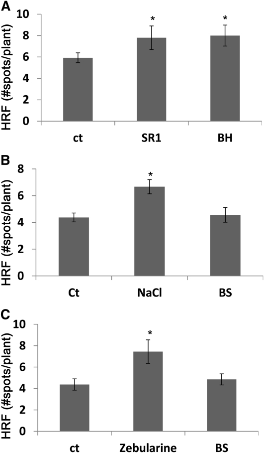 Figure 6.