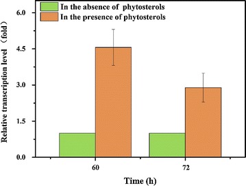 Fig. 2