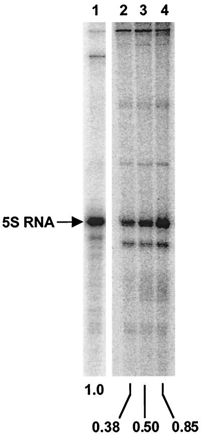 FIG. 8