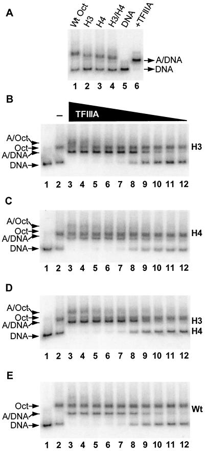 FIG. 5