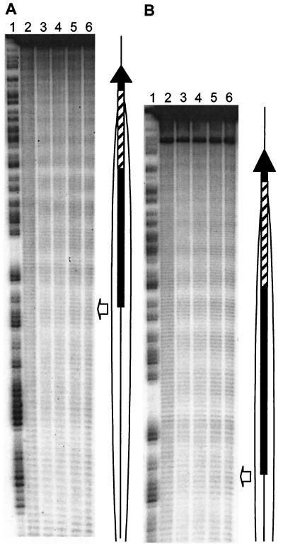 FIG. 7