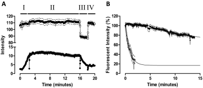 Fig. 8.