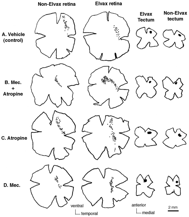 Fig. 10.