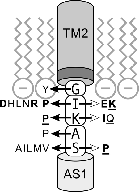 Fig. 9.