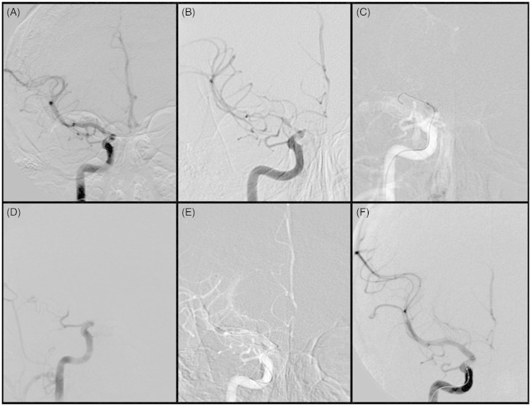 Figure 2.