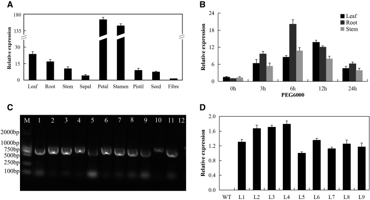 Figure 7