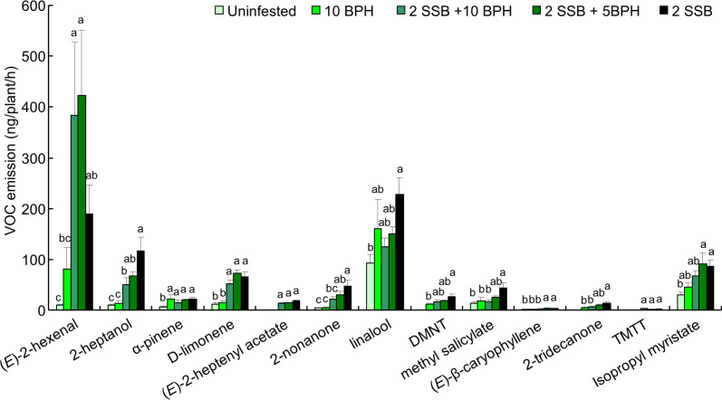 Figure 5—figure supplement 1.