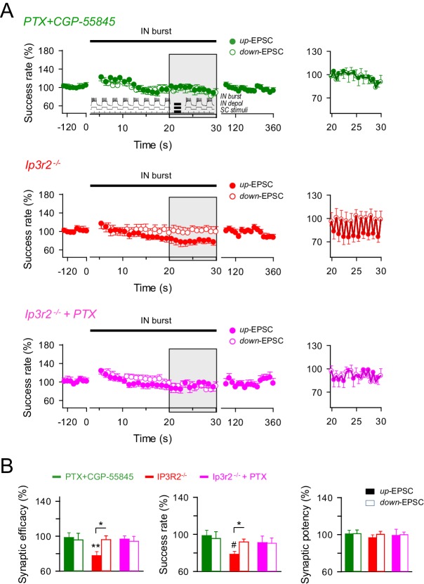 Figure 5—figure supplement 1.