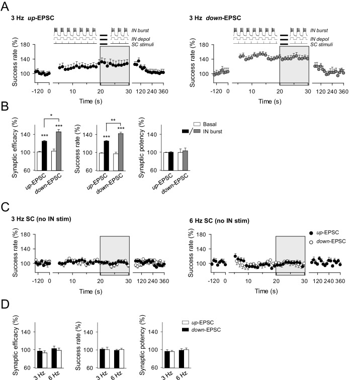 Figure 5—figure supplement 2.