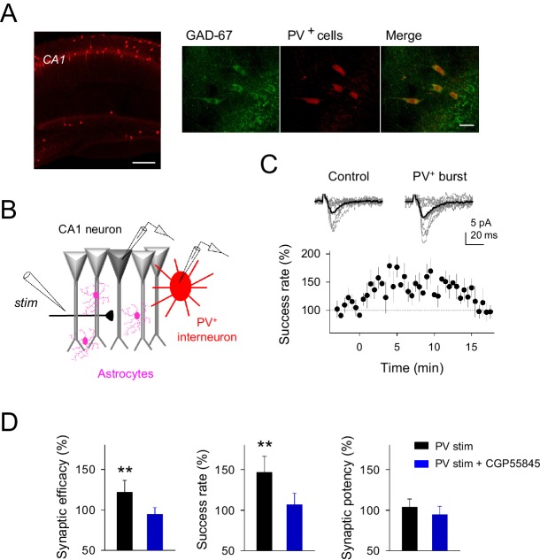 Figure 1—figure supplement 2.