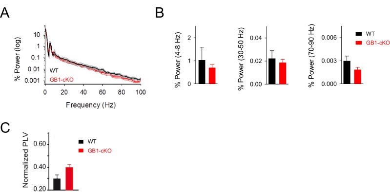 Figure 7—figure supplement 1.