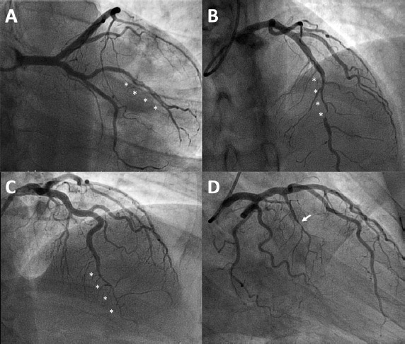 Figure 2: