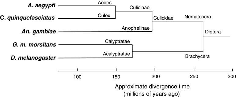 Fig. 7