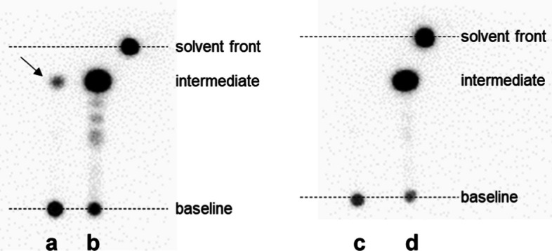 Fig. 2