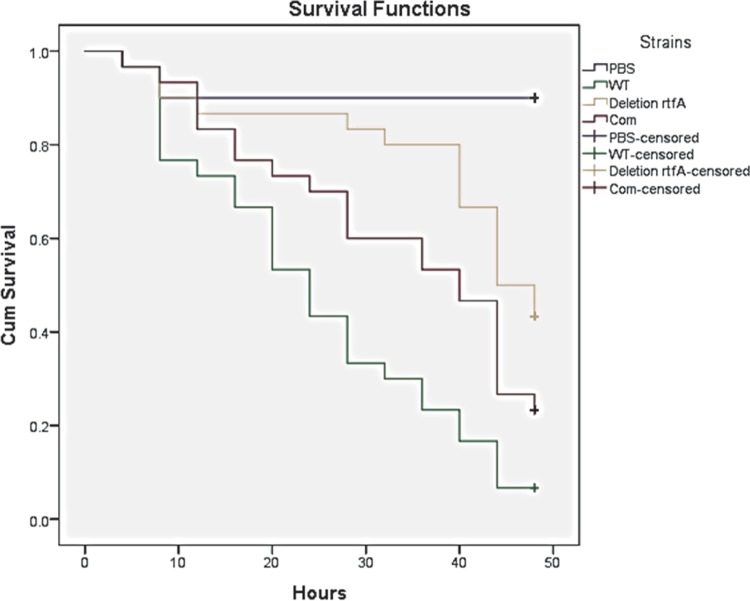 FIG 3