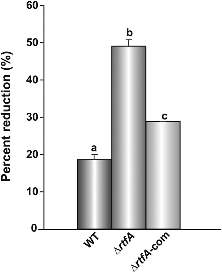 FIG 6