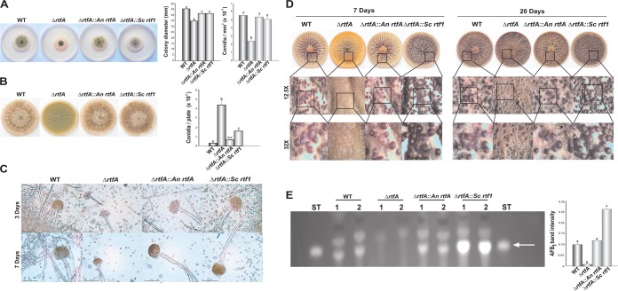 FIG 1