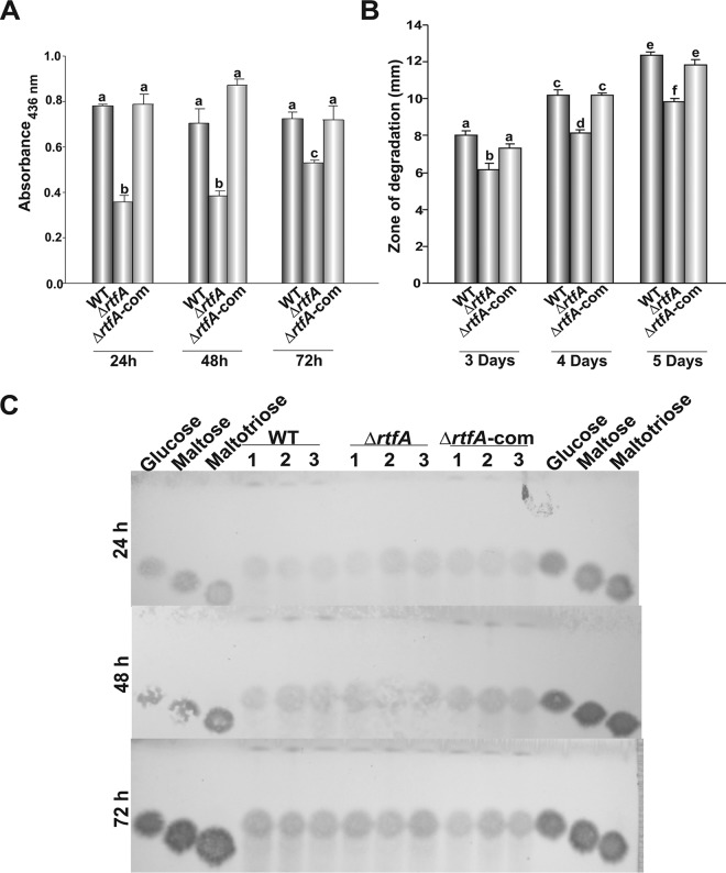 FIG 5