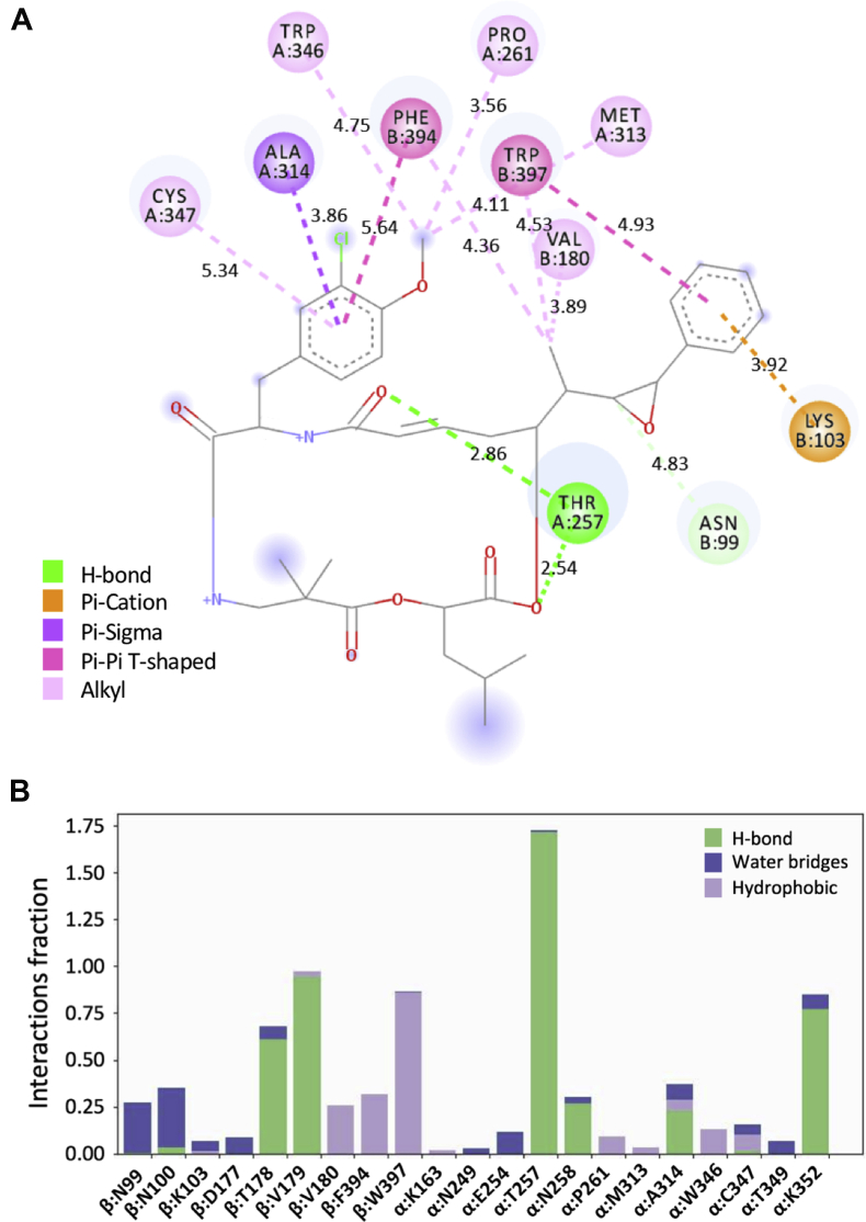 Figure 2