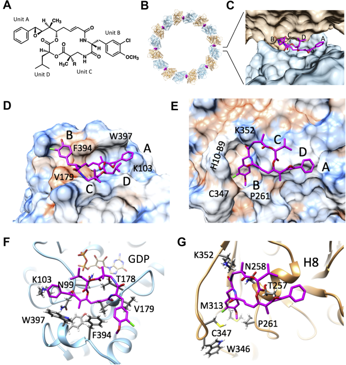 Figure 1