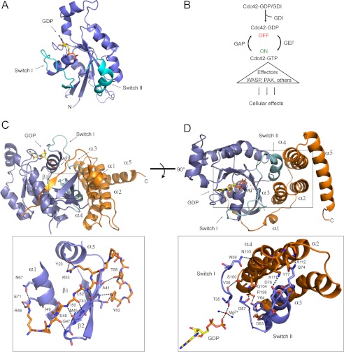 FIGURE 1.