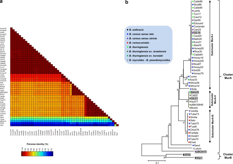 FIG 2