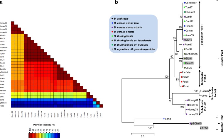 FIG 3