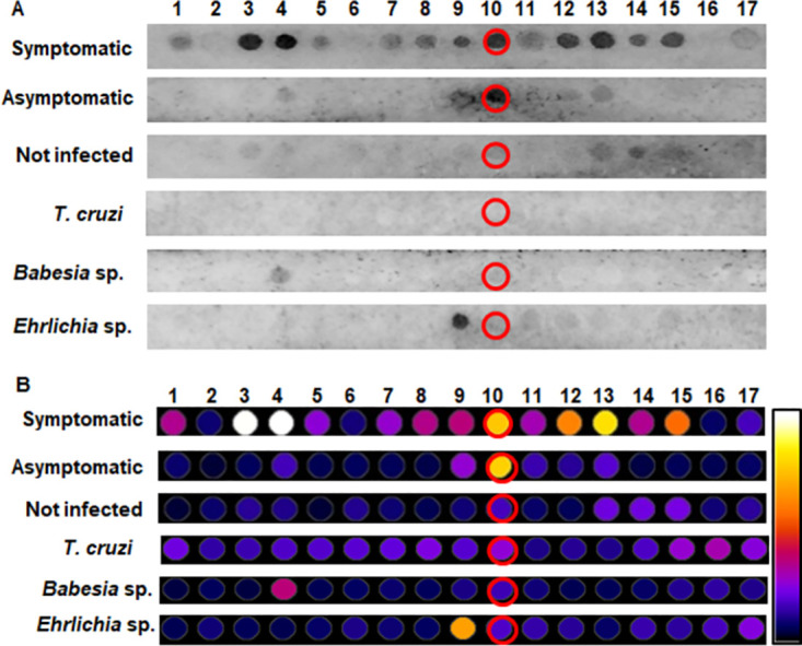 Fig 4