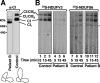FIG. 6.