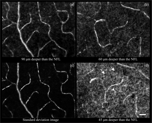 Fig. 7