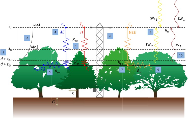 Fig 1