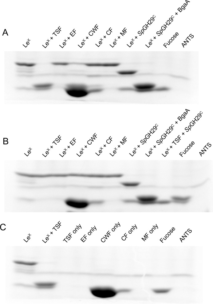 Figure 5.