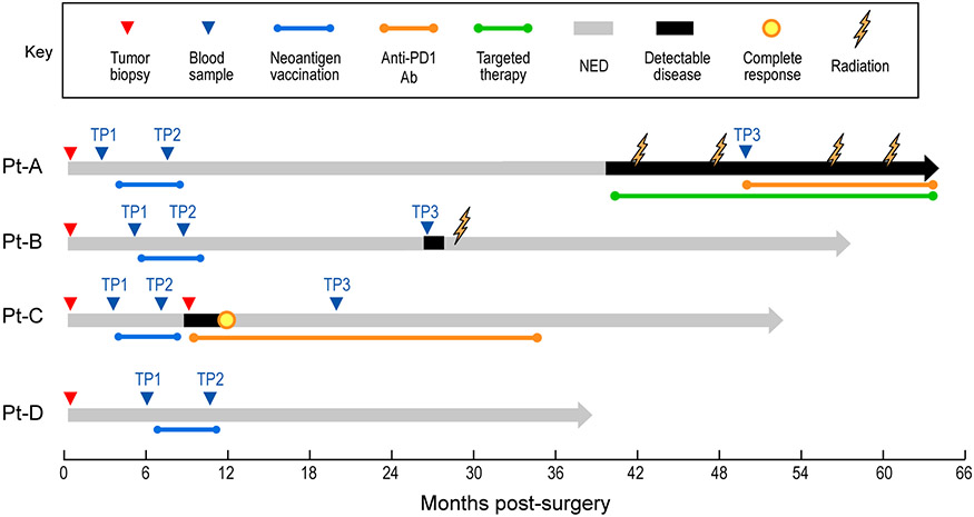 Extended Data Figure 1.