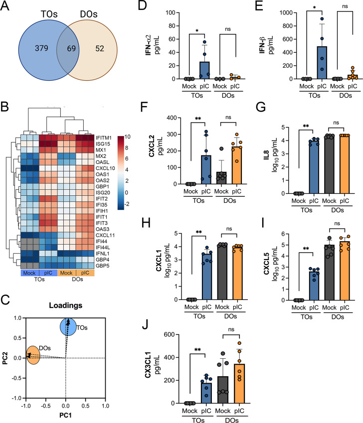 Figure 5—figure supplement 1.