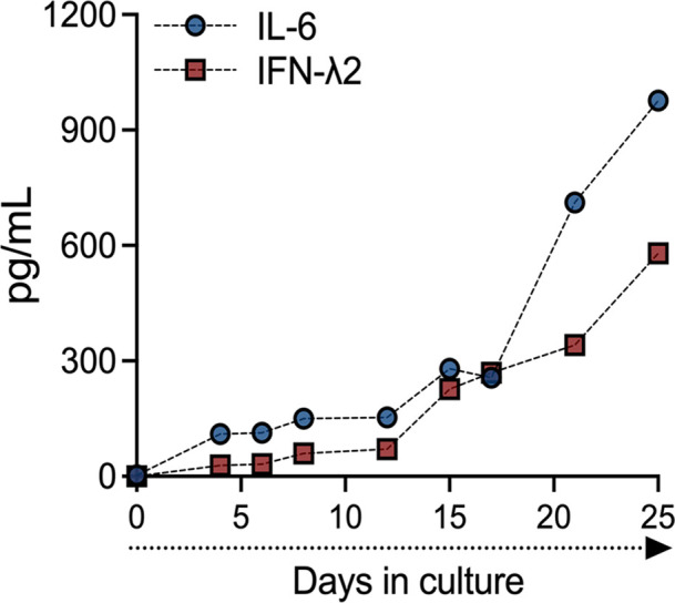 Figure 3—figure supplement 1.