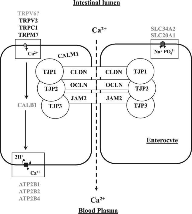 Figure 3.