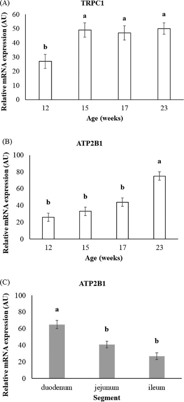 Figure 1.