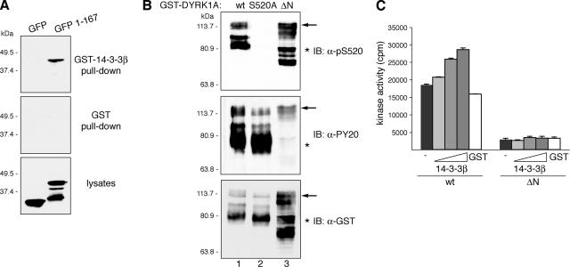 Figure 7.