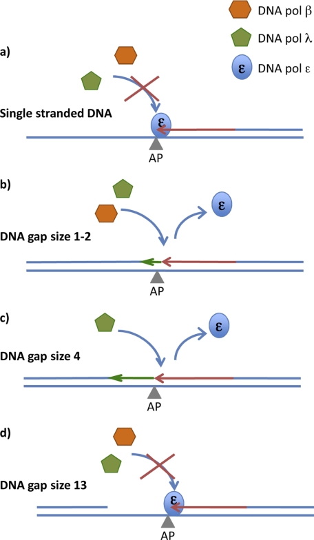 FIGURE 9.