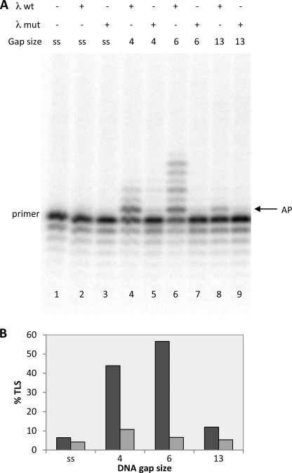 FIGURE 4.