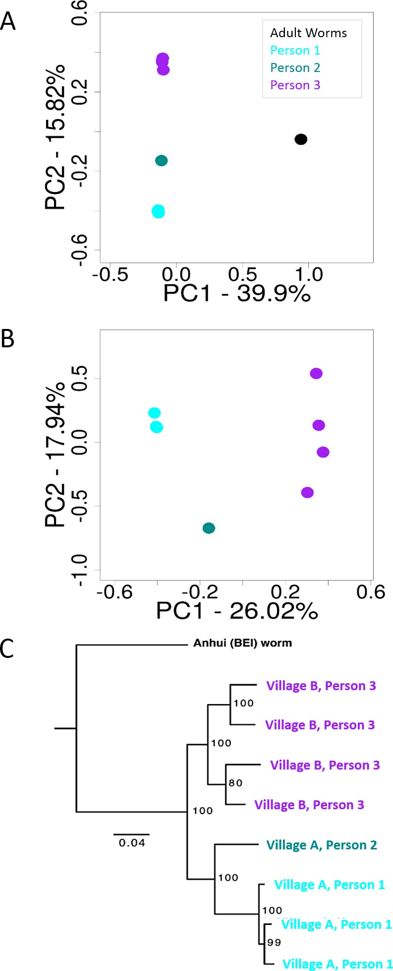 Fig 5